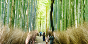 Arashiyama Area